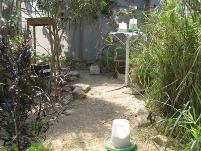 Down the centre.JPG