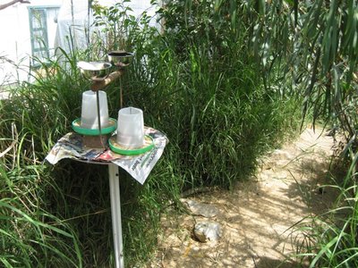 Feeding station.JPG