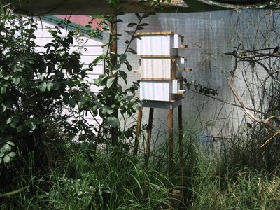Nest Boxes.JPG