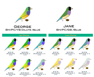 george-jane.jpg