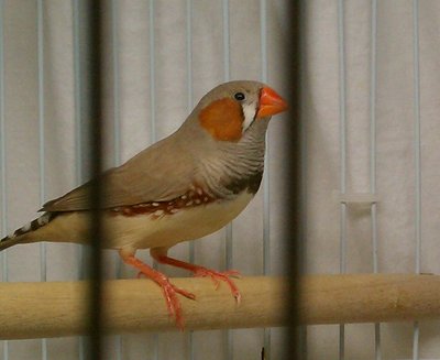 IMAG0428-1.jpg