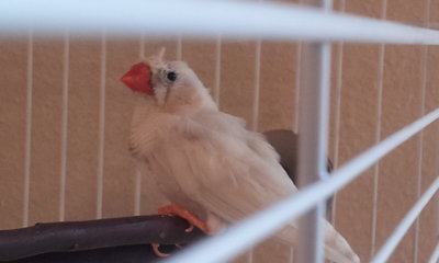 20111226_130350.jpg