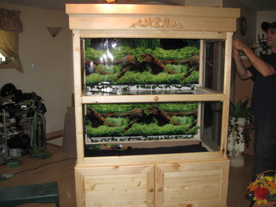 bird cage 001.jpg