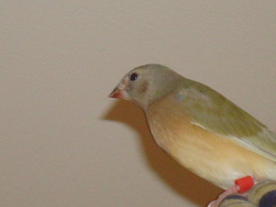 DSC04529.JPG
