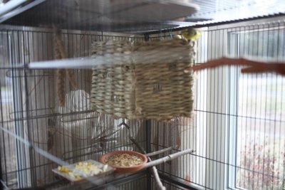 IMG_1780.JPG