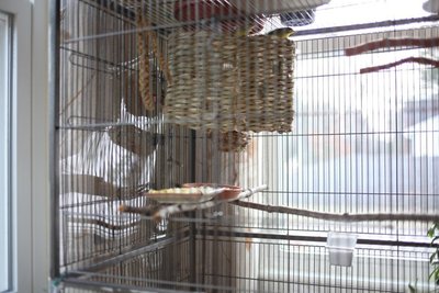 IMG_1798.JPG