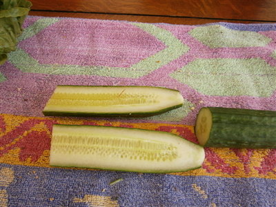 Leb cucumber and coz lettuce