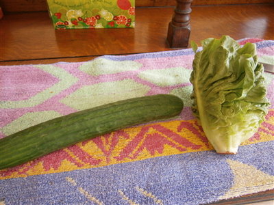 cut in half