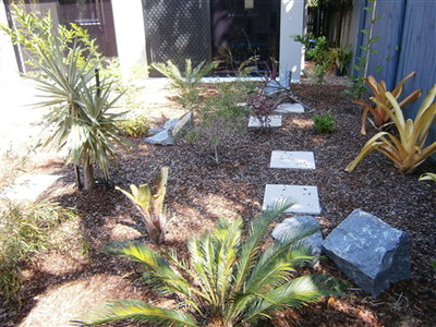 next extension project area-planted