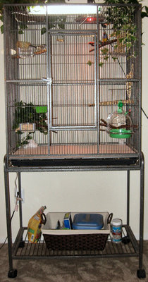 Cage_Top_n_Bottom.jpg