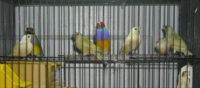 DSCN0002.JPG