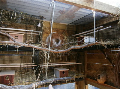 favorite gould nest area