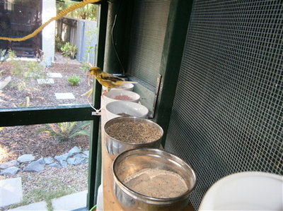 feed station