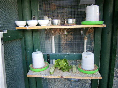 tower feeders and supplement feed shelf