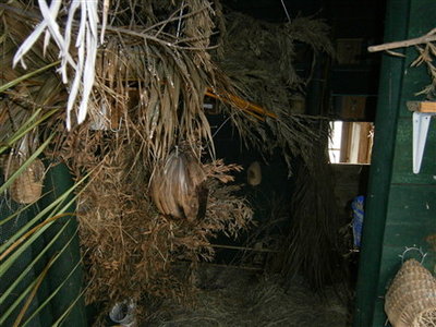 more coconut nests in enclosed area