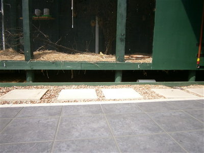 Elevated area of aviary 18&quot; above ground-good to put baits underneath