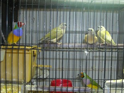 DSCN0001.JPG