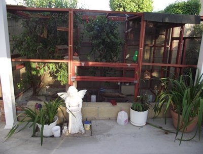 The main aviary