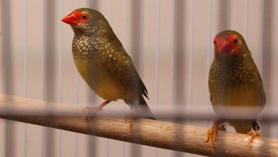 IMG_2832.JPG