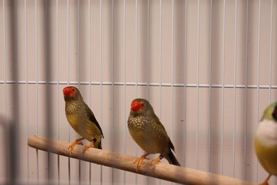 IMG_2837.JPG