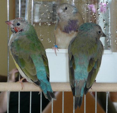 The sisters...