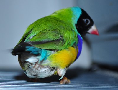 DSC_0411.JPG
