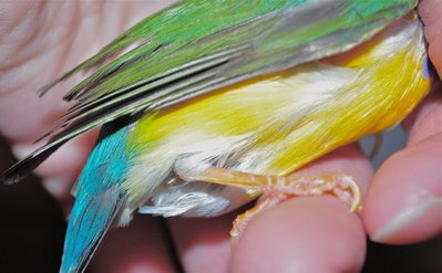 DSC_0397_2.JPG
