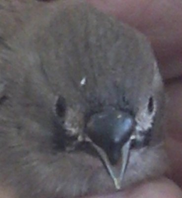 2012-03-27_17-33-24_244.jpg