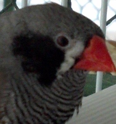 2012-03-27_17-41-58_499.jpg