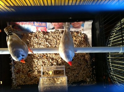 the one on the right :)