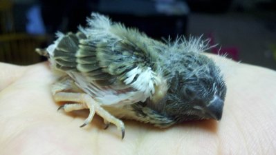 2012-04-05_17-35-44_909.jpg
