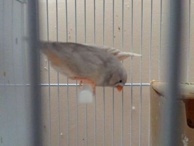 female1.jpg