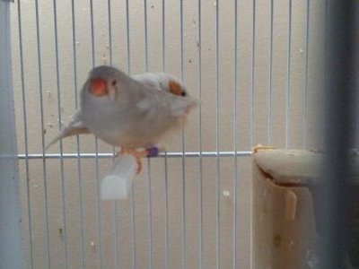 fe2.jpg