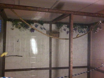 aviary4.jpg