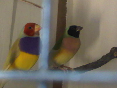 Proud parents.jpg