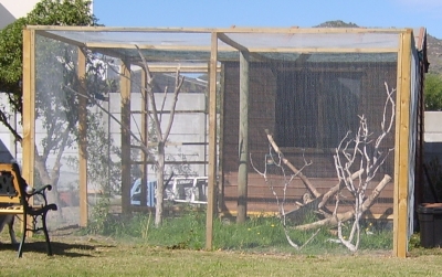 New Aviary1.jpg