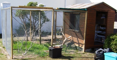 New aviary 2.jpg