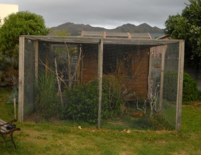 Aviary full view (1).jpg