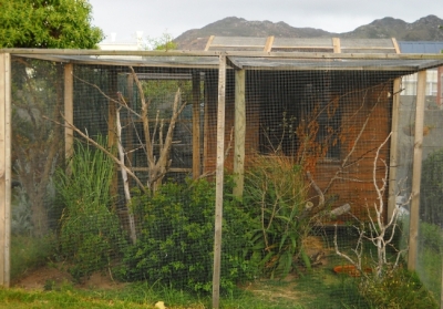 Aviary full view (4).jpg