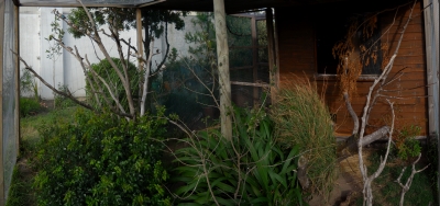 Inside the Aviary.JPG