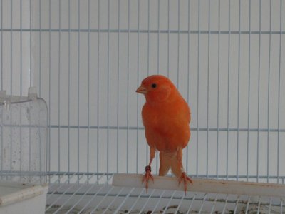 2012 offspring
