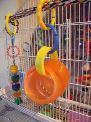 slinky basket.jpg