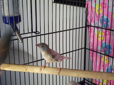 DSCF00244 (2).JPG