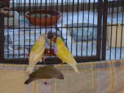 DSC04704.JPG