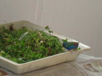 DSC04716.JPG
