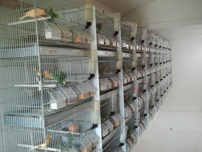 2012-05-05_19.01.42.jpg