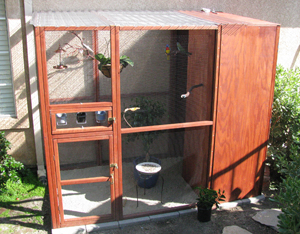 aviary.jpg