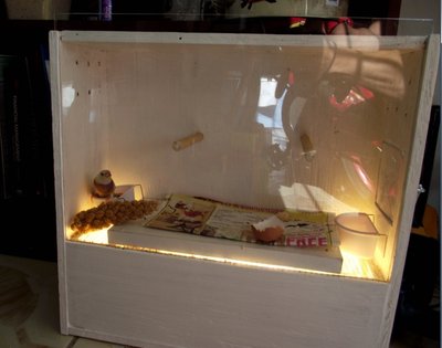 hospital cage2.JPG