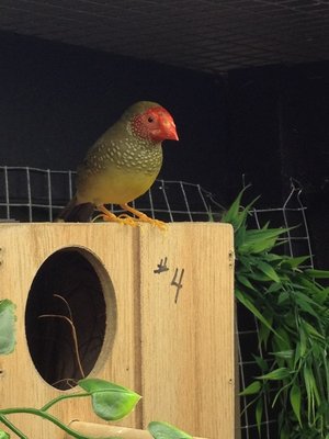 IMG_0095.JPG