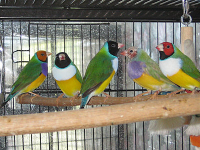 males090109.jpg